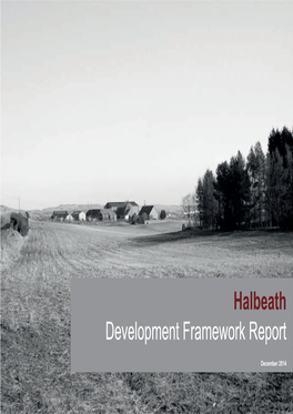 Halbeath Development Framework Report