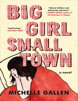 Big Girl, Small Town a Novel Michelle Gallen