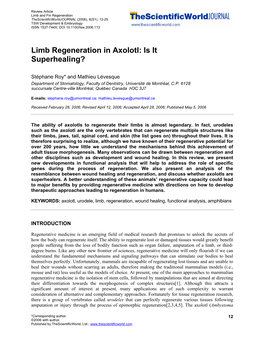 Limb Regeneration in Axolotl: Is It Superhealing?