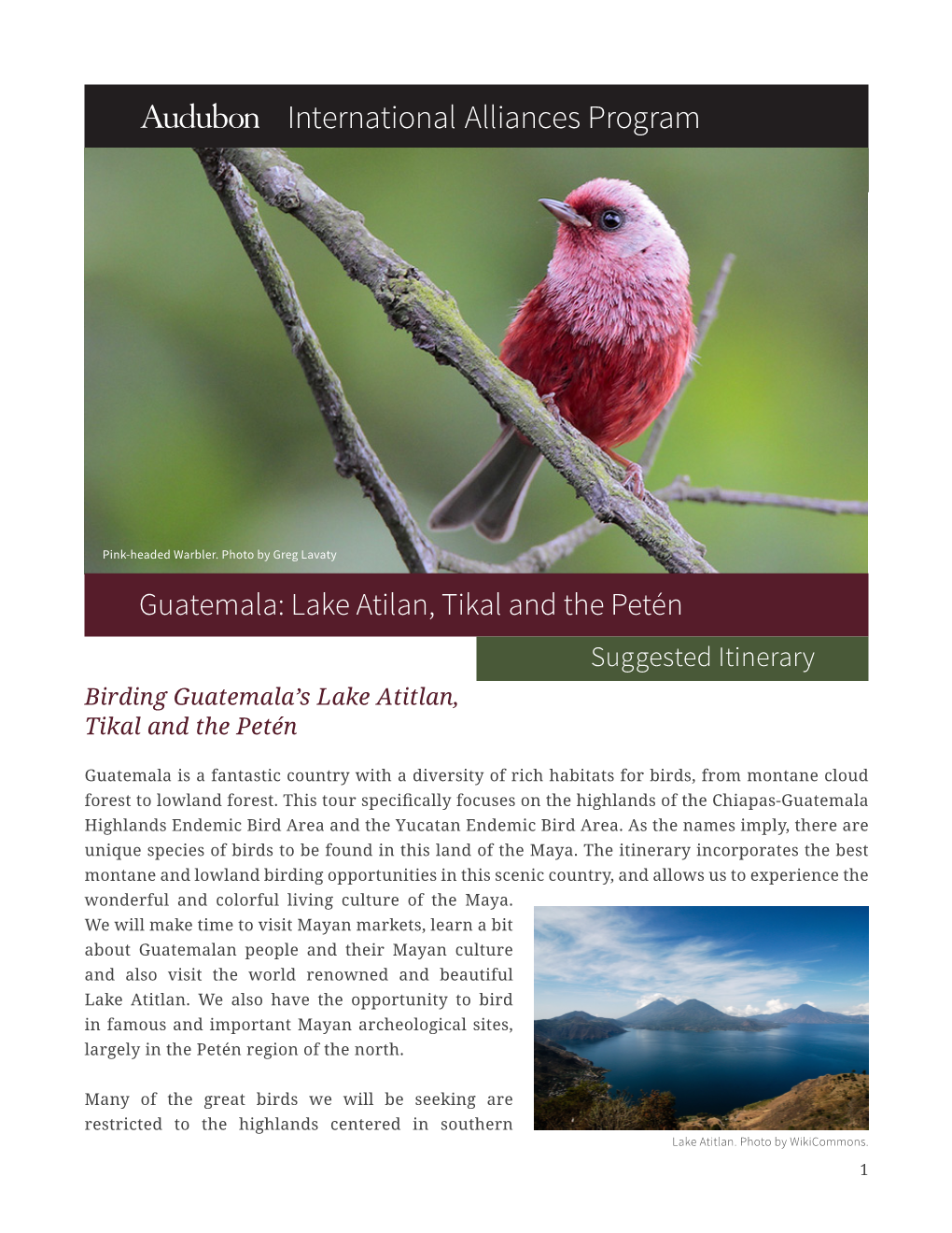 Birding Guatemala's Lake Atitlan, Tikal and the Petén