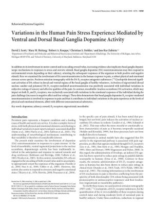 Variations in the Human Pain Stress Experience Mediated by Ventral and Dorsal Basal Ganglia Dopamine Activity