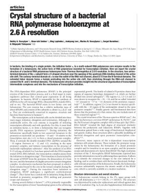 Crystal Structure of a Bacterial RNA Polymerase Holoenzyme at 2.6 A˚ Resolution