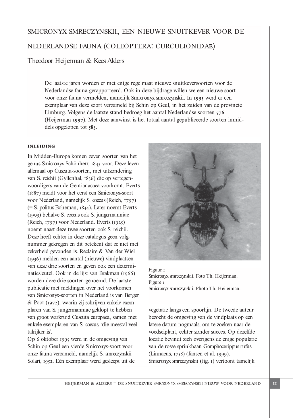 (COLEOPTERA: Curculionidae) Theodoor Heijerman & Kees Alders