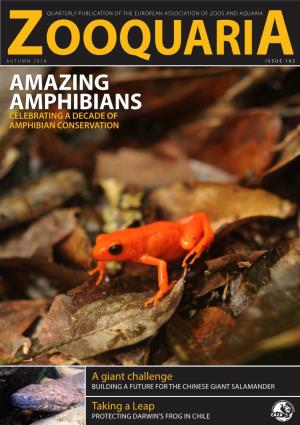 Amazing Amphibians Celebrating a Decade of Amphibian Conservation
