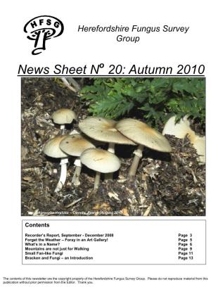 News Sheet N 20