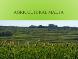 Agri Malta Day 1 – Arrival – Transfer to Hotel - Dinner