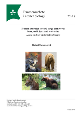 Human Attitudes Toward Large Carnivores Bear, Wolf, Lynx and Wolverine