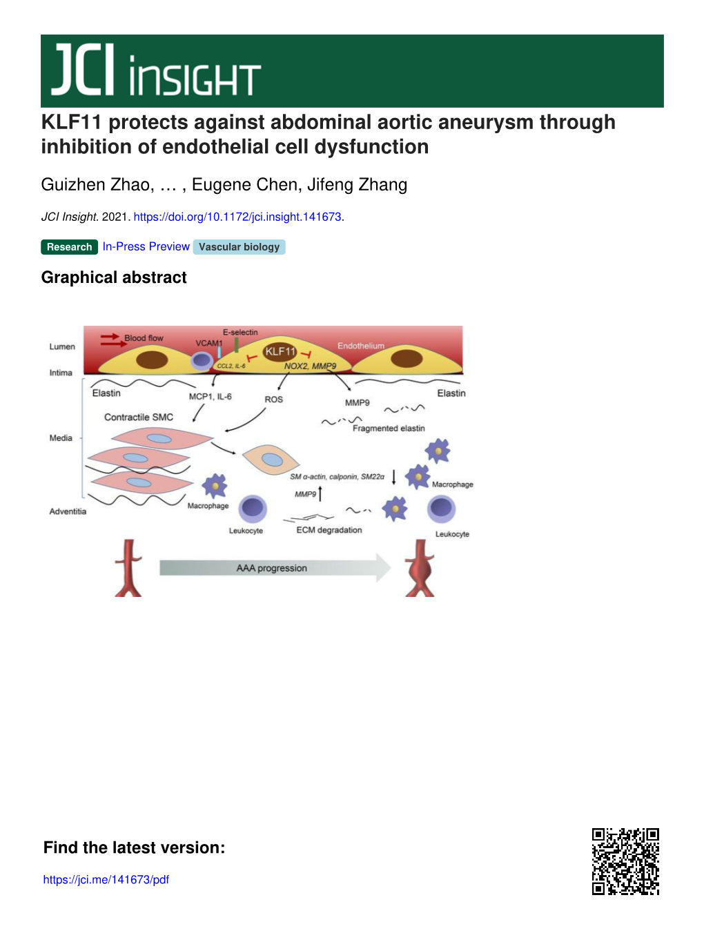 KLF11 Protects Against Abdominal Aortic Aneurysm Through Inhibition of Endothelial Cell Dysfunction