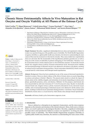 Chronic Stress Detrimentally Affects in Vivo Maturation in Rat Oocytes and Oocyte Viability at All Phases of the Estrous Cycle