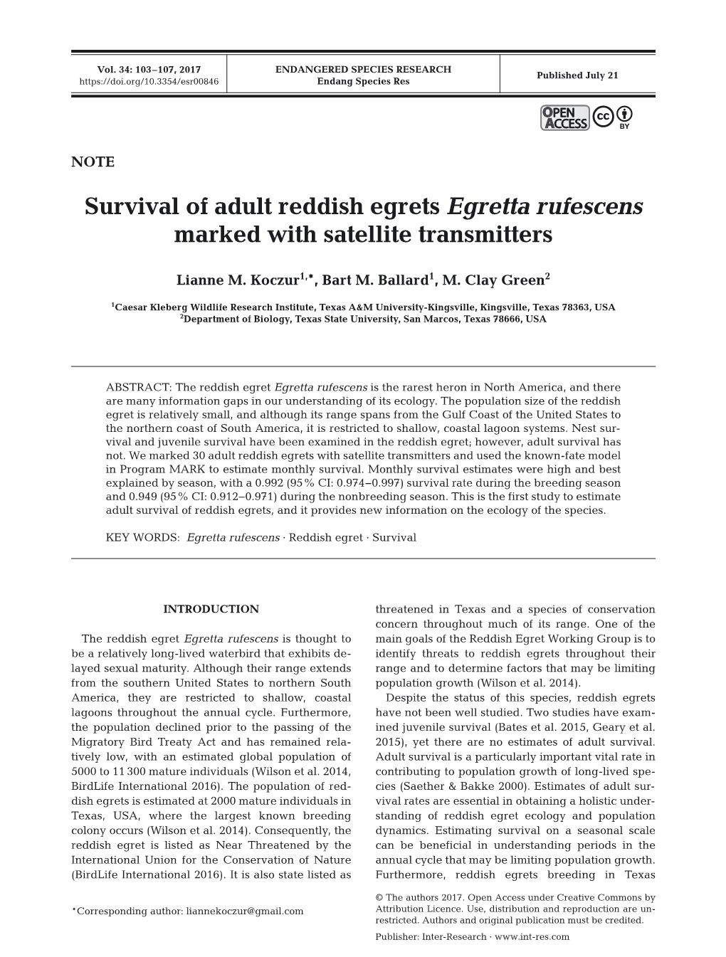 Survival of Adult Reddish Egrets Egretta Rufescens Marked with Satellite Transmitters