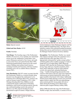 Protonotaria Citrea Boddeart Prothonotaryprothonotary Warbler Warbler, Page 1