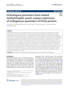 Orthologous Promoters from Related Methylotrophic Yeasts Surpass