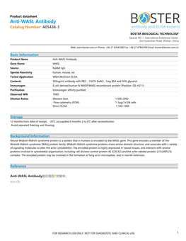 Datasheet A05438-3 Anti-WASL Antibody