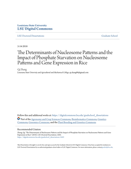 The Determinants of Nucleosome Patterns and the Impact of Phosphate Starvation on Nucleosome Patterns and Gene Expression in Rice