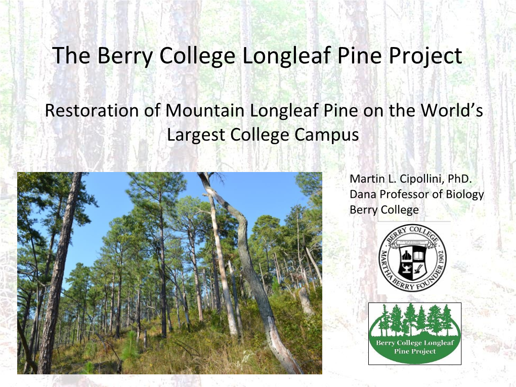 The Berry College Longleaf Pine Project