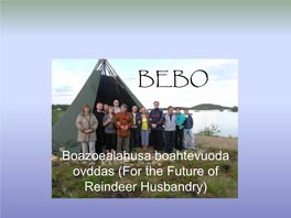 For the Future of Reindeer Husbandry) BEBO