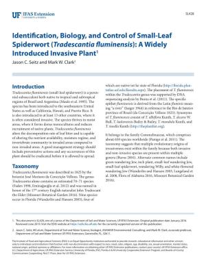Identification, Biology, and Control of Small-Leaf Spiderwort (Tradescantia Fluminensis): a Widely Introduced Invasive Plant1 Jason C