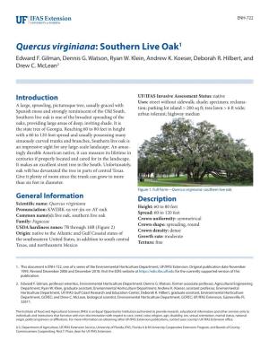Quercus Virginiana: Southern Live Oak1 Edward F
