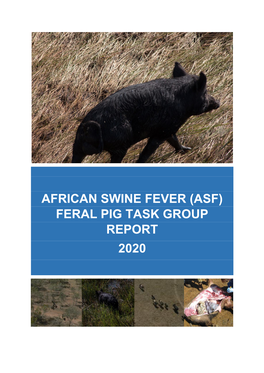 African Swine Fever (Asf) Feral Pig Task Group Report 2020