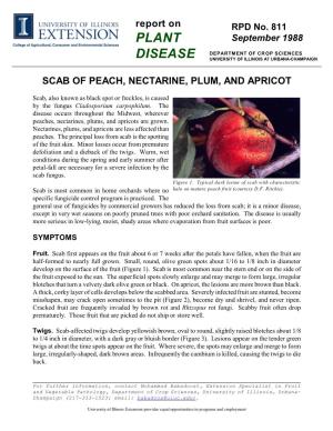 Scab of Peach, Nectarine, Plum, and Apricot