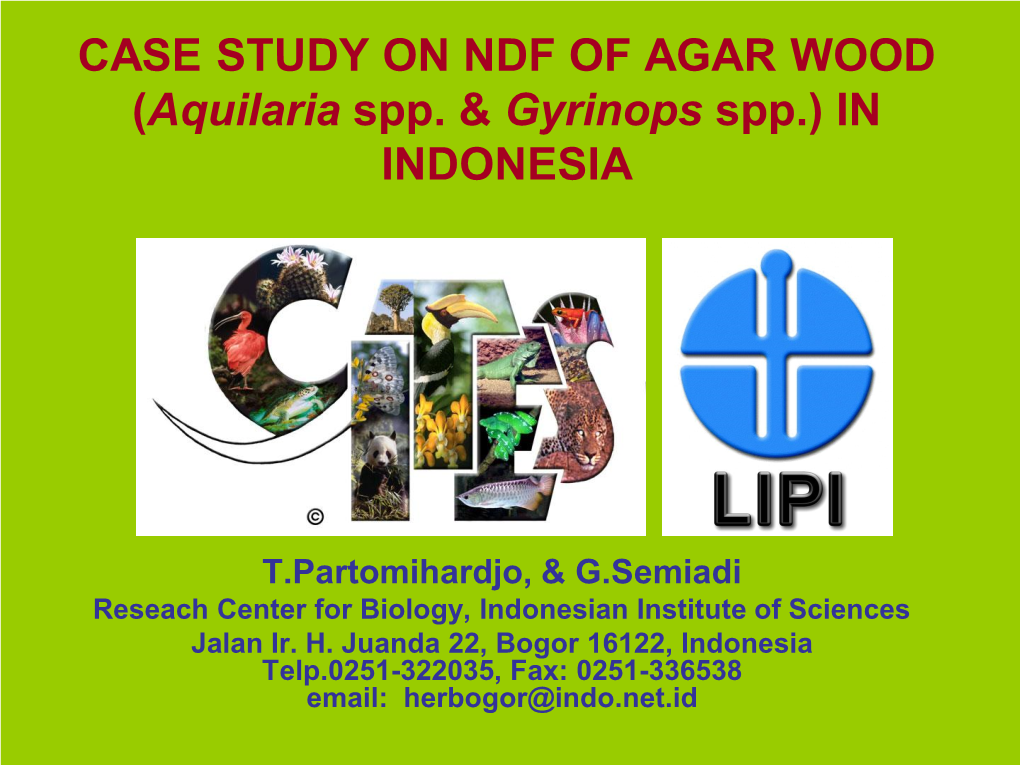 CASE STUDY on NDF of AGAR WOOD (Aquilaria Spp