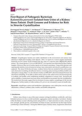 First Report of Pathogenic Bacterium Kalamiella Piersonii Isolated