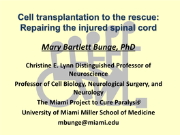 Cell Transplantation to the Rescue: Repairing the Injured Spinal Cord