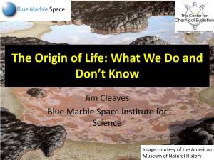 The Origin of Life: What We Do and Don't Know