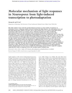 Molecular Mechanism of Light Responses in Neurospora: from Light-Induced Transcription to Photoadaptation
