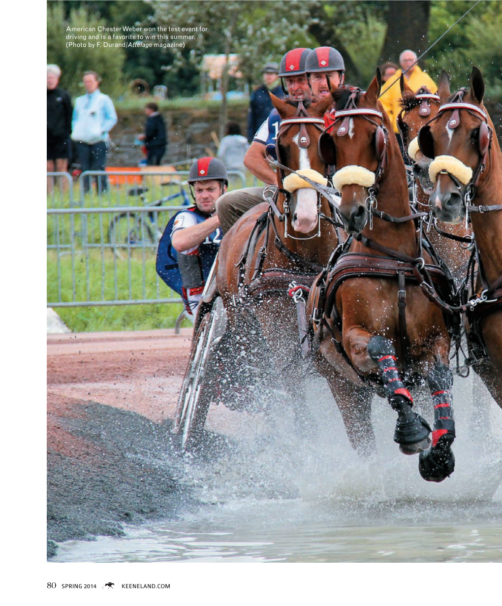 80 Spring 2014 K Keeneland.Com American Chester Weber Won The