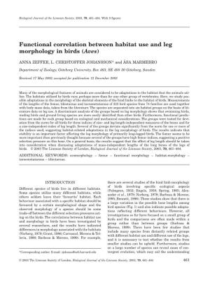 Functional Correlation Between Habitat Use and Leg Morphology in Birds (Aves)
