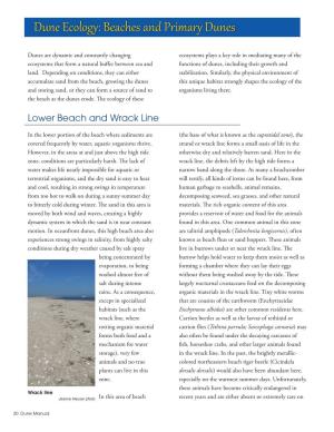 Dune Ecology: Beaches and Primary Dunes