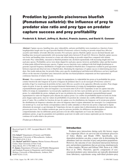 Predation by Juvenile Piscivorous Bluefish (Pomatomus Saltatrix): the Influence of Prey to Predator Size Ratio and Prey Type On
