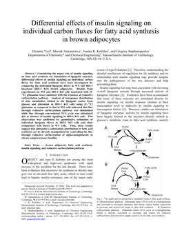 Differential Effects of Insulin Signaling on Individual Carbon Fluxes for Fatty Acid Synthesis in Brown Adipocytes