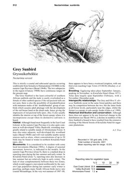 Grey Sunbird Gryssuikerbekkie Nectarinia Veroxii
