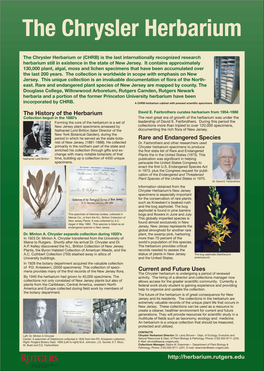 Poster Chrysler Herbarium