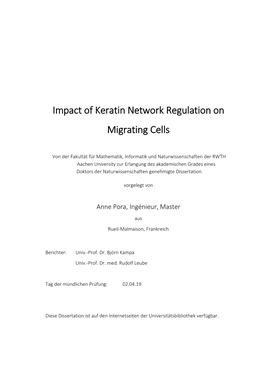 Impact of Keratin Network Regulation on Migrating Cells