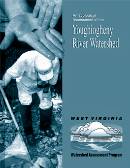 Youghiogheny River Watershed Within West Virginia - 1996 Report Number 05020006-1996