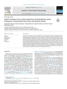Captive Breeding of Two Insular Populations of Pachyrhynchus Sarcitis