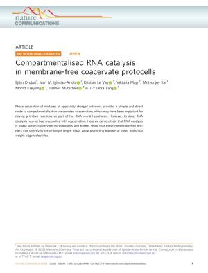 Compartmentalised RNA Catalysis in Membrane-Free Coacervate Protocells