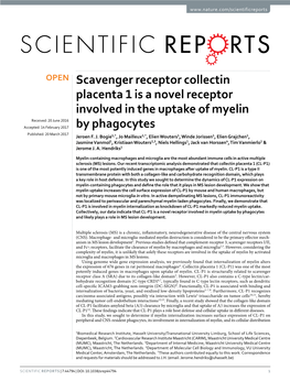 Scavenger Receptor Collectin Placenta 1 Is a Novel Receptor Involved in The