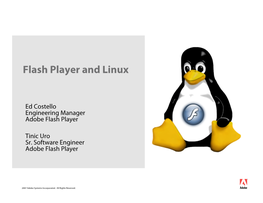 Flash Player and Linux