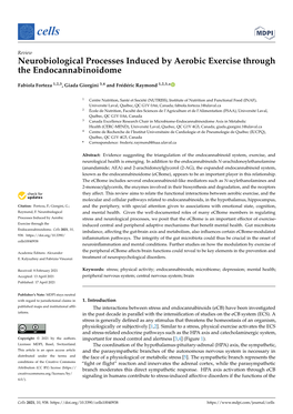 Neurobiological Processes Induced by Aerobic Exercise Through the Endocannabinoidome
