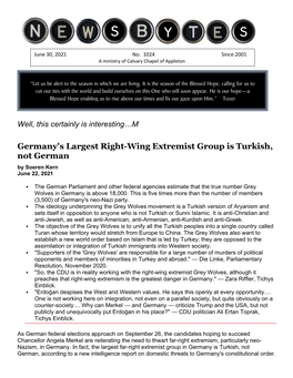 Germany's Largest Right-Wing Extremist Group Is Turkish, Not German by Soeren Kern June 22, 2021