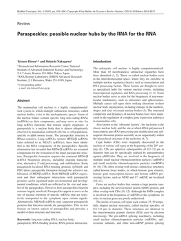 Paraspeckles: Possible Nuclear Hubs by the RNA for the RNA