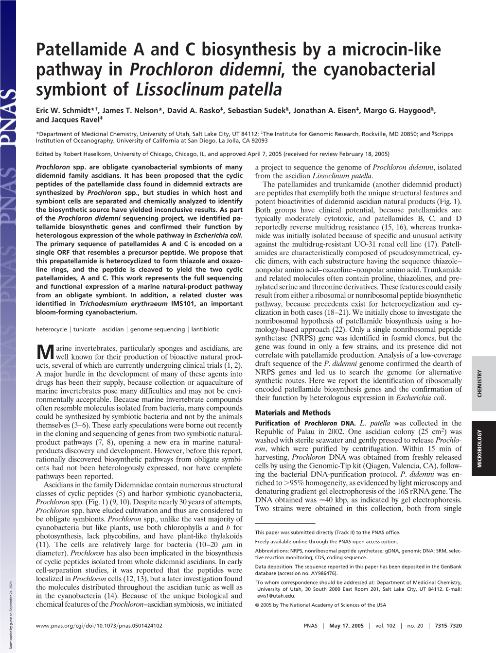 Patellamide a and C Biosynthesis by a Microcin-Like Pathway in Prochloron Didemni, the Cyanobacterial Symbiont of Lissoclinum Patella