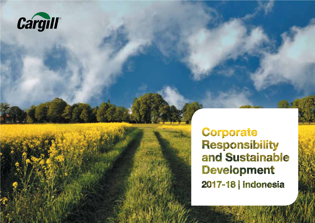 Corporate Responsibility and Sustainable Development