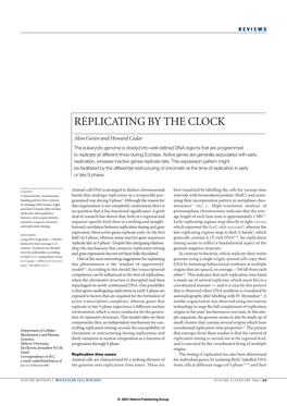 Replicating by the Clock