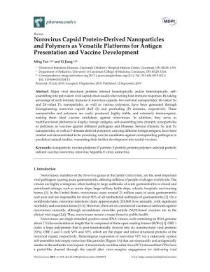 Norovirus Capsid Protein-Derived Nanoparticles and Polymers As Versatile Platforms for Antigen Presentation and Vaccine Development