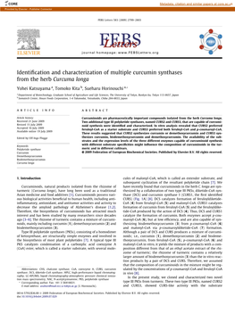 Identification and Characterization of Multiple Curcumin Synthases From